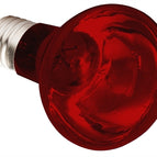 100 WATT (73892)